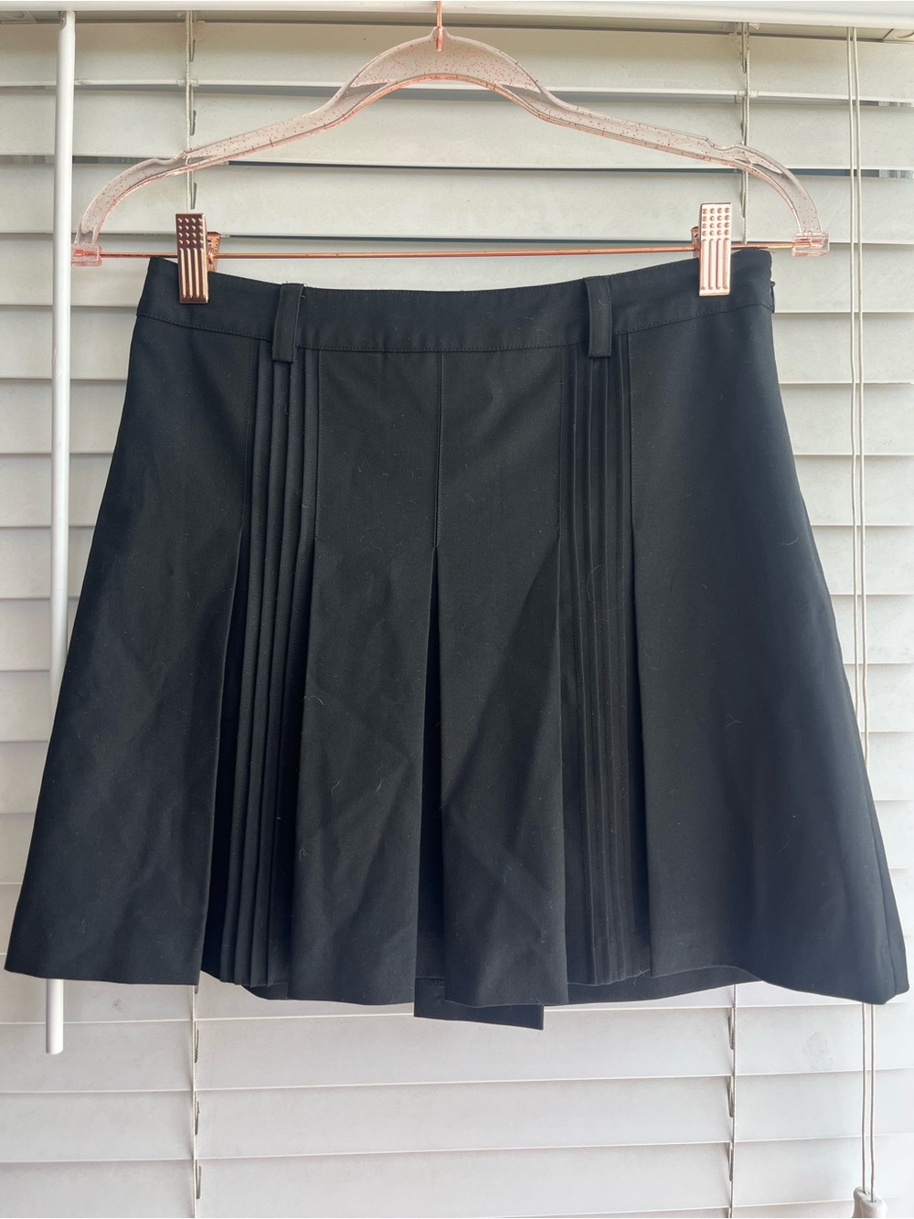 Pleated Skirt